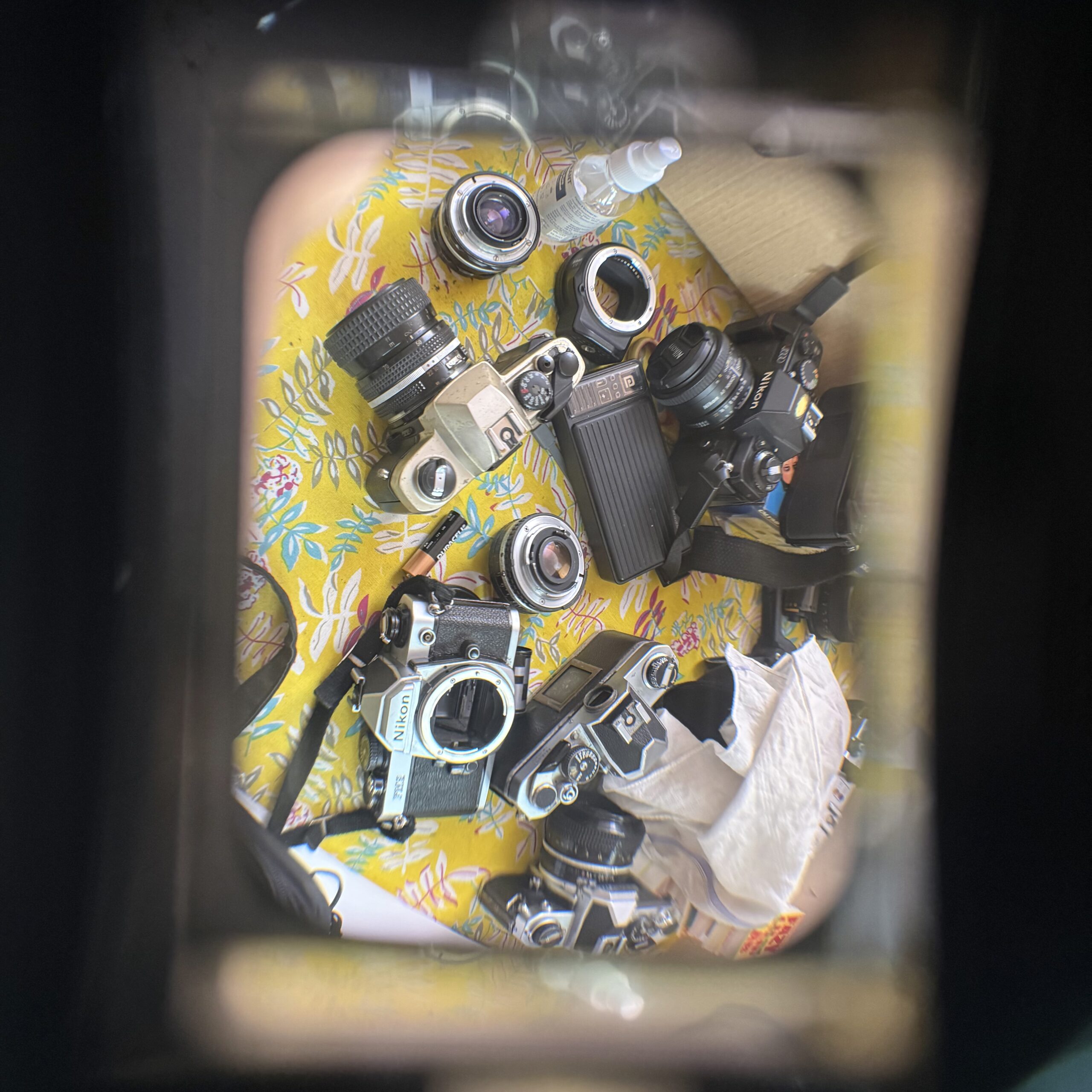 Canon Prima AF-9s - Image 7